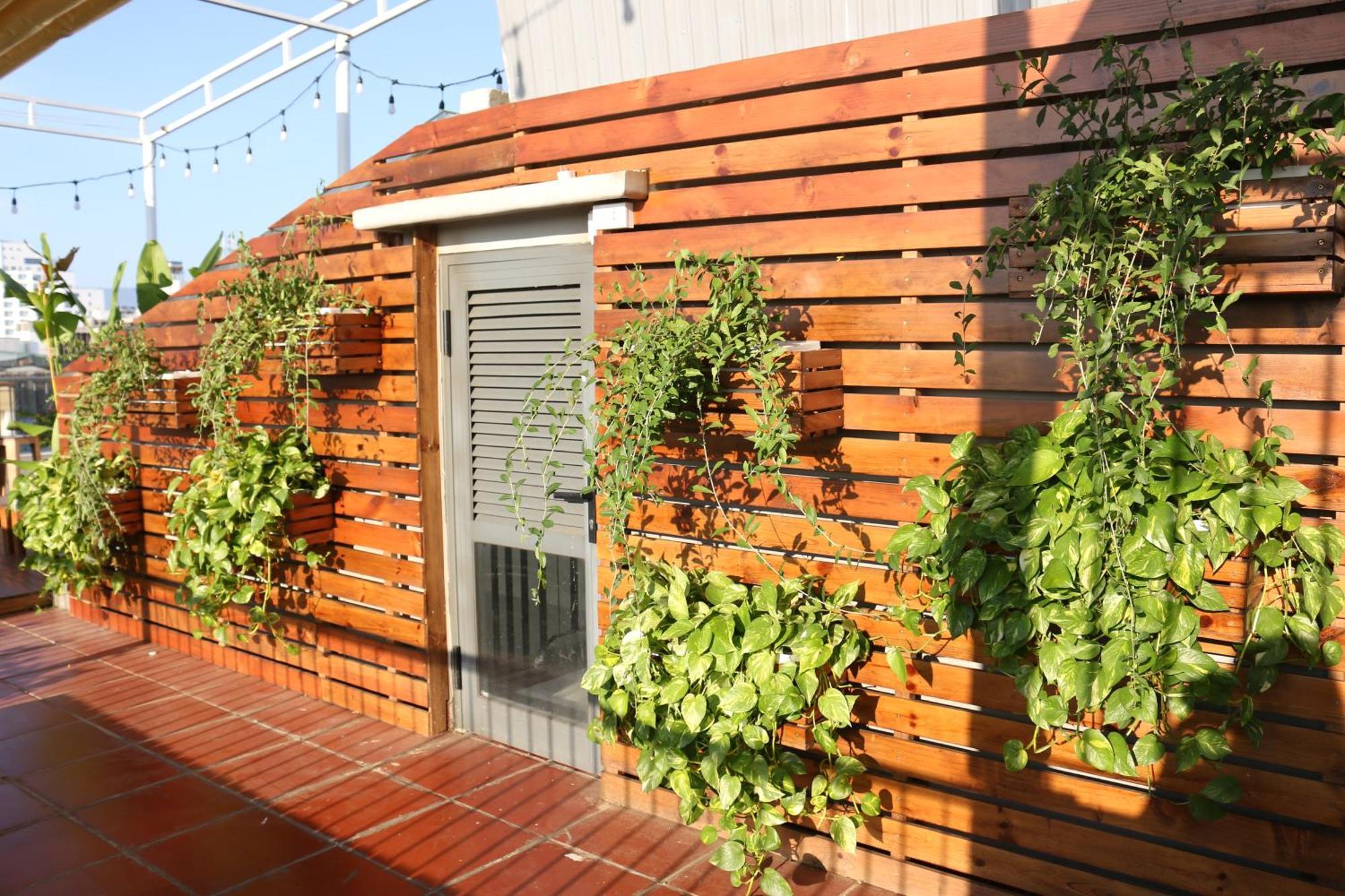 Mira De Sol Homestay Da Nang Exterior photo